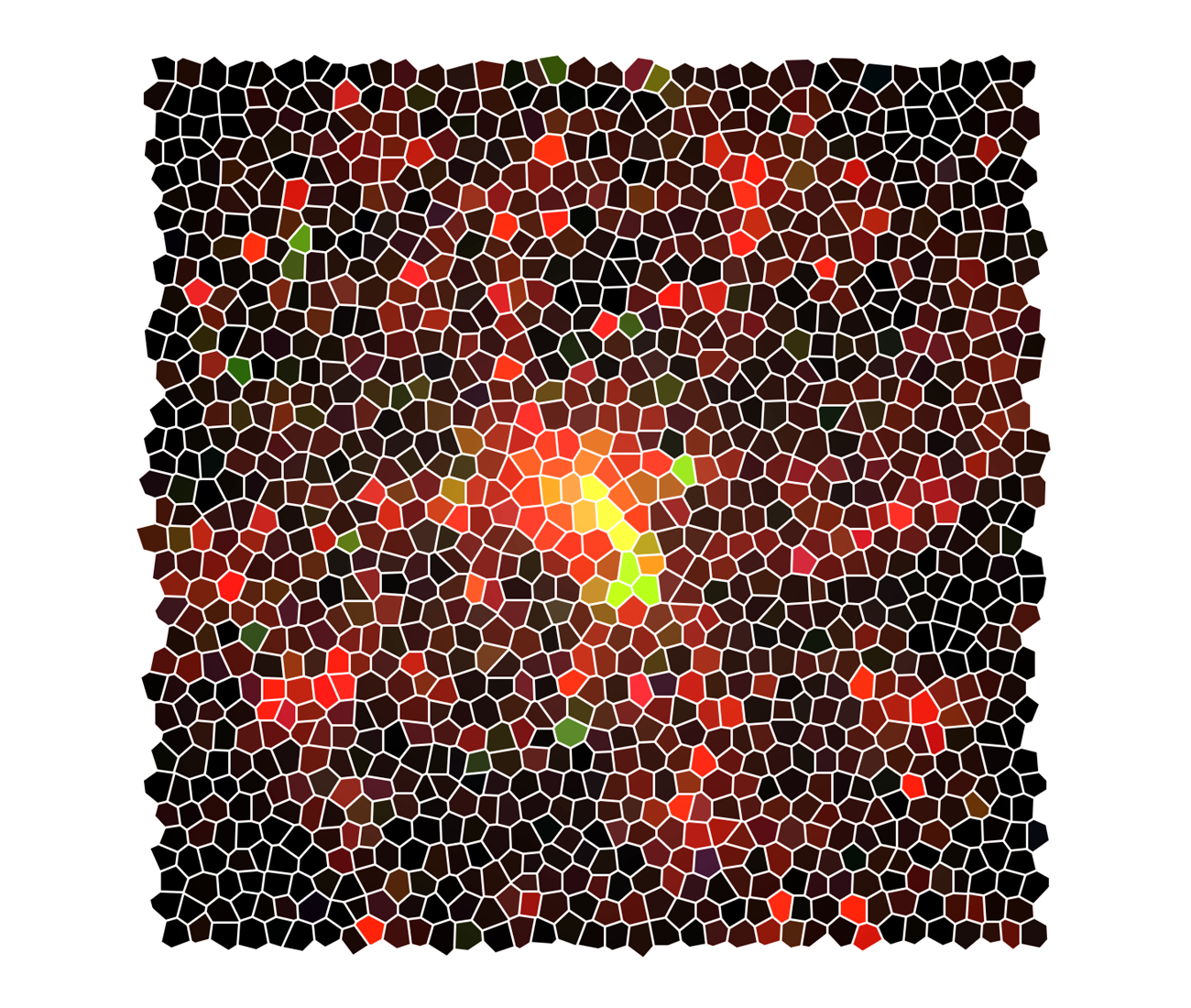 Neuronal circuit mapping